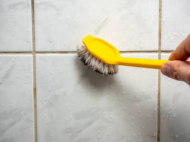 Best Black Mold Remediation in Fayette, OH